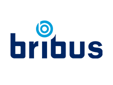 bribus - square 2